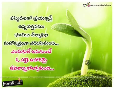 thought of the day telugu|heartfelt quotes in telugu.